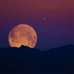 Harvest Moon (Жнивний місяць)