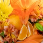 Solar Petals and Tangerine (Сонячні пелюстки та мандарин)