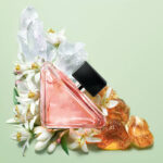 Paradoxe по мотивам Prada