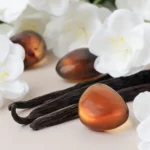 Ambered Vanille (Янтарна ваніль)