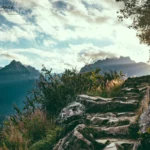 Cedar Musk + Lavender